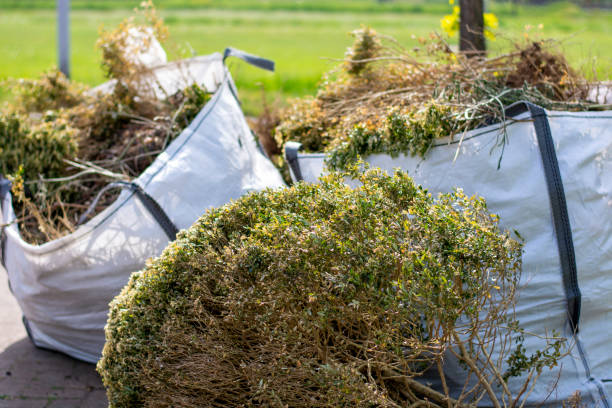 Best Basement Cleanout Services  in Coord, NC